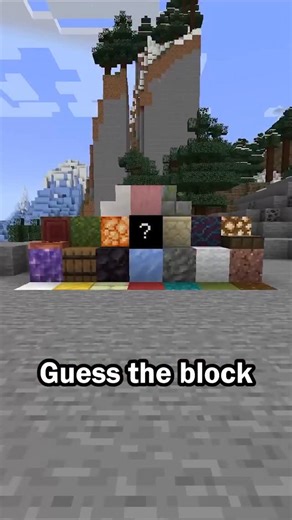 CheezyChez | Guess the Minecraft block in 60 seconds #minecraft #minecraftmemes #trivia | Instagram