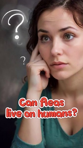 Can Fleas Live on Humans? The Science Behind the Myth #fleaguard #pets #petcareuk #cat