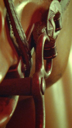 Guess USA fall collection available now. | GUESS U.S.A.