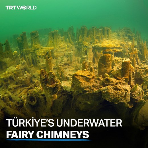 5.5K views · 224 reactions | Microbialites, also known as "underwater fairy chimneys", were viewed with underwater cameras in Lake Van in eastern Türkiye. | TRT World | Facebook