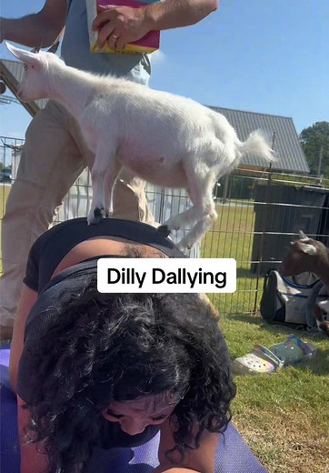 _sincerelycierra on TikTok