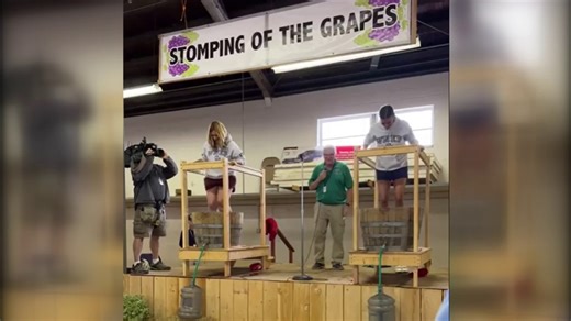 Grape stomping competition at the Bloomsburg Fair