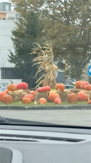 Bern Switzerland #swissbeautiful