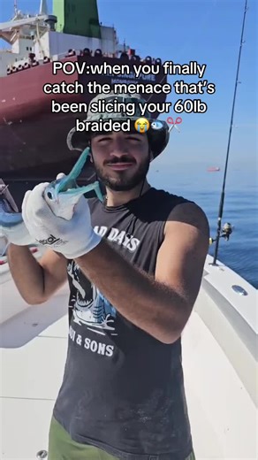 The Fisherman's Challenge: Catching the Line-Cutting Menace