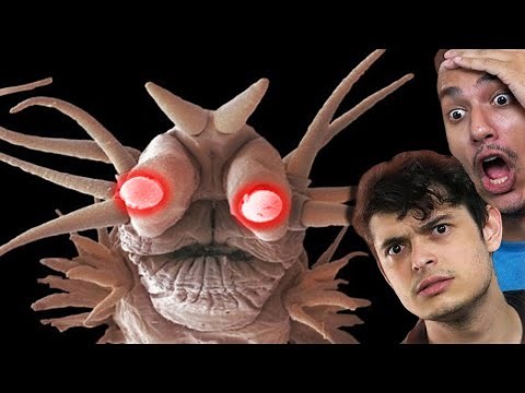 11 MONSTROS INVISÍVEIS QUE EXISTEM DE VERDADE