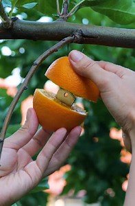 108K views · 155 reactions | Ways to Open a Lock very easy | 5-Minute Crafts UK | Facebook