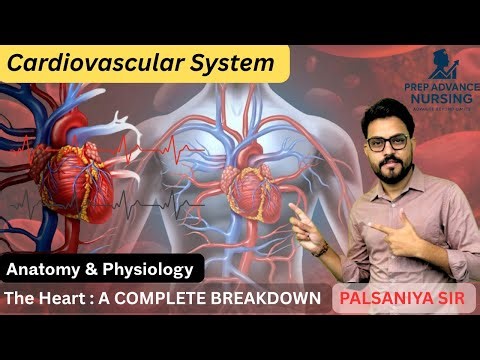 Cardiovascular System Lecture | Heart Anatomy & Blood Circulation | Fast Nursing Notes