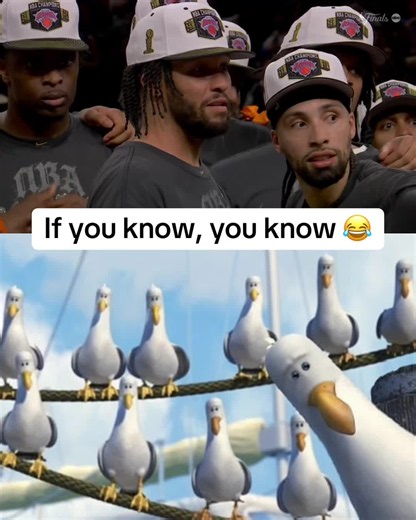 #Knicks understood the assignment with HC Mike Brown 😭 #findingnemo #nbafinals #nba