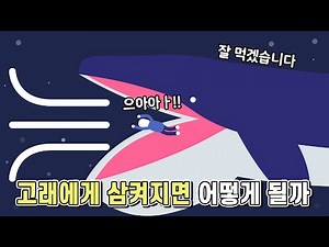 고래에게 삼켜지면 살아돌아올 수 있을까