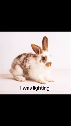 Delicious Boba Recipes to Try at Home