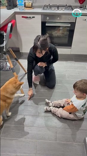 Pretending To Be A Dog || ViralHog