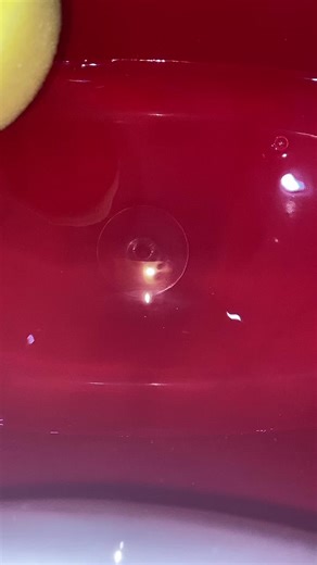 Creative Bath Time Foam with a Yellow Sponge