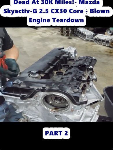 user8174486885843 on TikTok