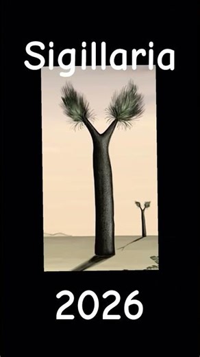 the end of analog horror and thank you for watching a analog horror trees! #theend