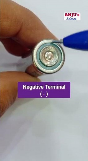 Electric Cell Class 6 || Dry Cell || Terminals of Cell |Science #shorts