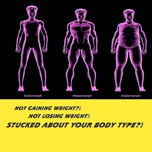 endomorph body type diet | endomorph exercises | ectomorph body type | ectomorph | Fitnesstrenz