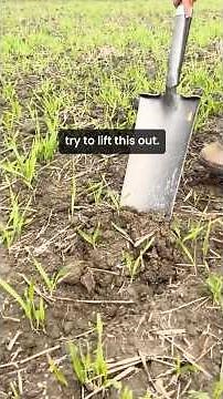 Taking Soil Samples for Aggregate Stability Testing #soil #soilhealth #agriculture