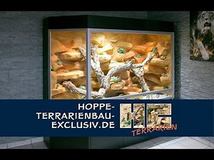 Bartagamen Terrarium mit Panoramaseite