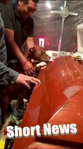 VIRAL: FAITHFUL FRIEND: Loyal Dog Says Final Farewell To Owner At Funeral