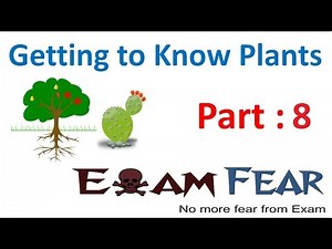 L8 : Different Lamina Shapes - Getting to Know Plants, Science, Class 6 Video Lecture