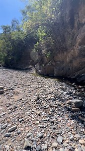 229 reactions · 13 shares | ¡Plan perfecto de fin de semana! ✅ ¡Compártelo con tu aventurer@ favorit@! Si tu plan para el fin de semana incluye naturaleza, agua y buenas vibras, El Platanal es tu lugar. | Xichu Guanajuato, Mx | Facebook