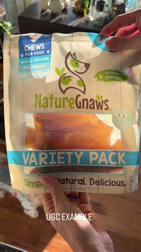Mel Liipfert on Instagram: "horriblehenley LOVES his treats! In this UGC voiceover example, we’re showcasing one of his favorites…Nature Gnaws. 🐶🥰 #ugccontentcreator #ugccreator #ugc #ugccommunity #dog"
