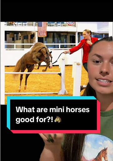 Mini Horses: Uses & Capabilities | Katie Van Slyke