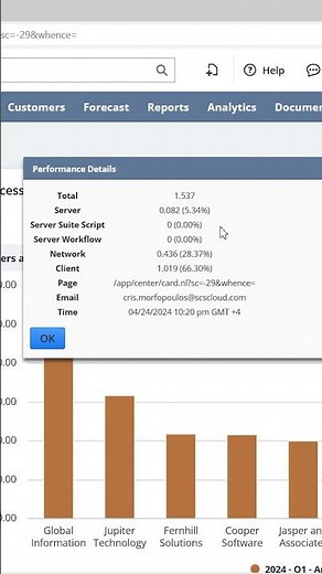 NetSuite Performance Details