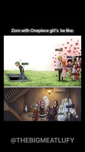 While Sanji chases girls, Zoro goes to the BASEMENT 😭💀#onepiecememe