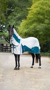 Packed full of features, our Atla Hybrid Rug Combo not only looks good - but it also keeps your horse protected from harsh Australian sun and insects, all while keeping them cool on warmer days. www.caribu.com.au/products/hybrid-horse-rug-combo | Caribu Horse Wear