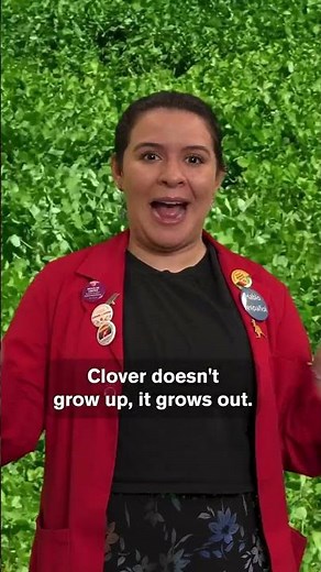 Why Clover Lawns Are the Sustainable Choice for Your Yard