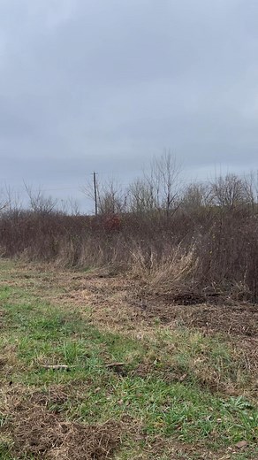 Lil brace action Jett and Purdy and with kaden Daugherty | Aaron Daugherty