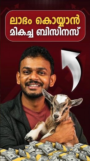 How to Start Goat Farming | Goat Farming Beginner Guide 2026 | Goat Farming malayalam