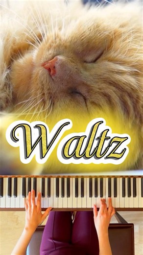 Brahms Waltz Quick Piano Guide Short