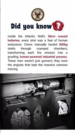 The Human Engines of the Atlantic Wall ⚓💪