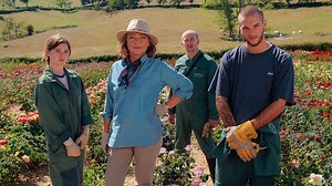 Finding family amid the flowers in 'The Rose Maker'