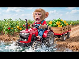 Monkey NaNa Bell Pepper Harvest Turns Into CHAOS — His Smart Rescue Saves the Day! 🐒🫑🚨