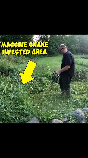 91K views · 578 reactions | Massive Snake always hiding in the Deep Grass! Would you be cutting this? | Home cleaners | Facebook