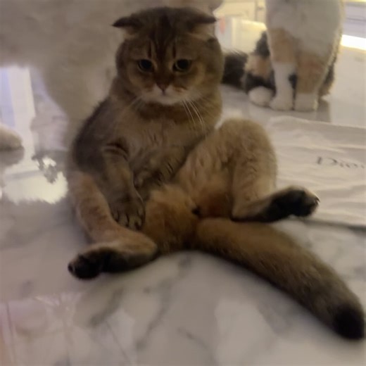 CARLI BYBEL on Instagram: "Life lately ✨🧡"