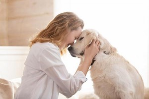 Do Dogs Know We Love Them? - How to Tell Your Dog You Love Them