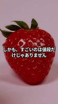 【1分雑学】イチゴの旬は「冬」じゃない！？今食べるべき衝撃のメリット