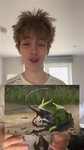 Flynnley suggested I do this even though her video is better- I suggest you go watch @Flynnley🦕🦎 #prehistoric #frog #paleontology #fyp #beelzebufo