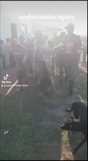 Ltee on TikTok