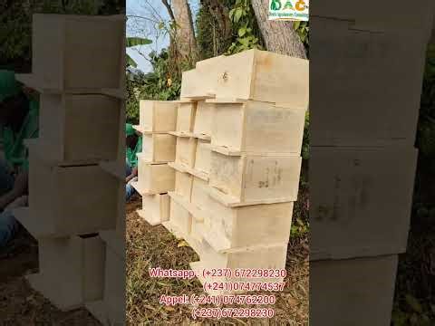 Construction and installation of 40 modern beehives 🐝