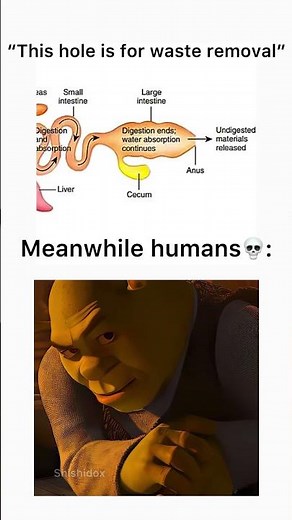 Human meme #viral #funny #memes #shorts #shortvideo #meme #humor