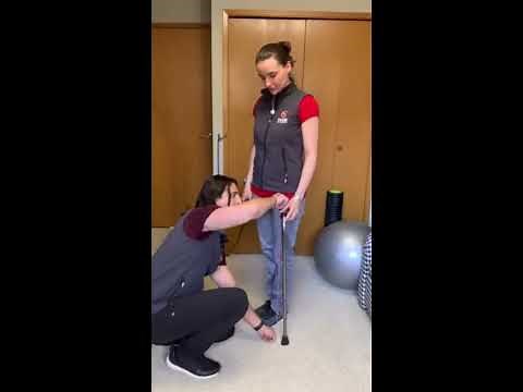 How to Correctly Size a Cane