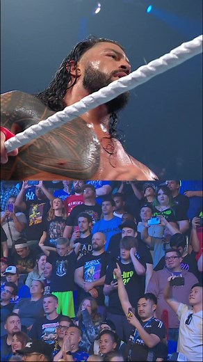 2.5M views · 10K reactions | You’ll notice a different fan freaking out every time you watch! | WWE | Facebook