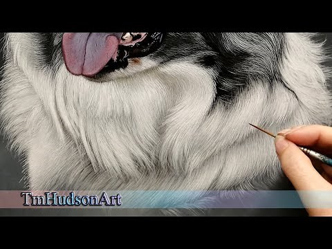 How to paint realistic white fur in acrylic step by step