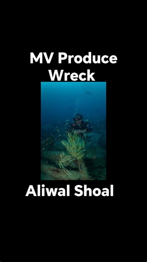 🌊 Once a tanker, now a treasure. Dive the Produce Wreck on Aliwal Shoal. 🐠⚓️— it’s a dive you’ll never forget. 🤿💙 Join us for an unforgettable dive experience where history meets adventure beneath the waves. Perfect for advanced divers looking to explore something truly spectacular! 📅 Don't miss out book your next dive today!! #buddyscuba #aliwalshoal | Buddy Scuba Dive Adventures