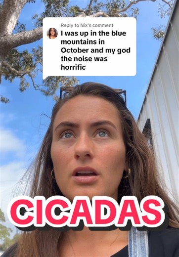 Understanding Cicadas: Why Do They Make Noise?